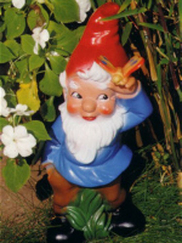 Frecher Zwerg. Frecher Zwerg.