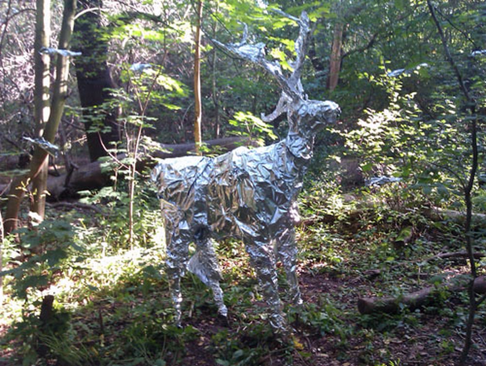Hirsch im Prießnitzgrund. Danke an @drk20